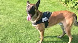 Yarmouth, MA, Police K-9 Nero.