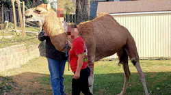 Bonner Springs, KS, police and animal control officers captured an escaped camel Sunday after an all-day pursuit.