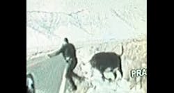Dashboard camera footage captured a roughly 2,000-pound cow charging a California Highway Patrol trooper who was trying to move the animal off a rural Lassen County road Dec. 23. Dashboard camera footage captured a roughly 2,000-pound cow charging a California Highway Patrol trooper who was trying to move the animal off a rural Lassen County road Dec. 23.
