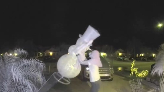 Titusville Christmas Decoration Thefts (fl)