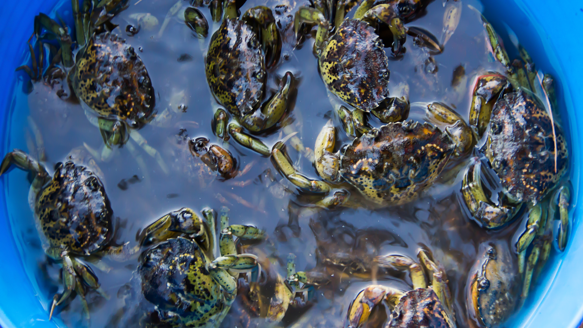 Getty Images 820919910 61e0a9aee4c6b