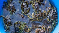 Getty Images 820919910 61e0a9aee4c6b Getty Images 820919910 61e0a9aee4c6b