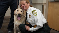 Mason Star, Hillsborough County Sheriff&apos;s Office new emotional support dog, gets some petting time with his handler, Chief Deputy Donna Lusczynski.