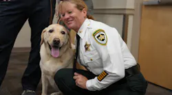 Mason Star, Hillsborough County Sheriff's Office new emotional support dog, gets some petting time with his handler, Chief Deputy Donna Lusczynski.