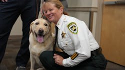 Mason Star, Hillsborough County Sheriff's Office new emotional support dog, gets some petting time with his handler, Chief Deputy Donna Lusczynski. Mason Star, Hillsborough County Sheriff's Office new emotional support dog, gets some petting time with his handler, Chief Deputy Donna Lusczynski.