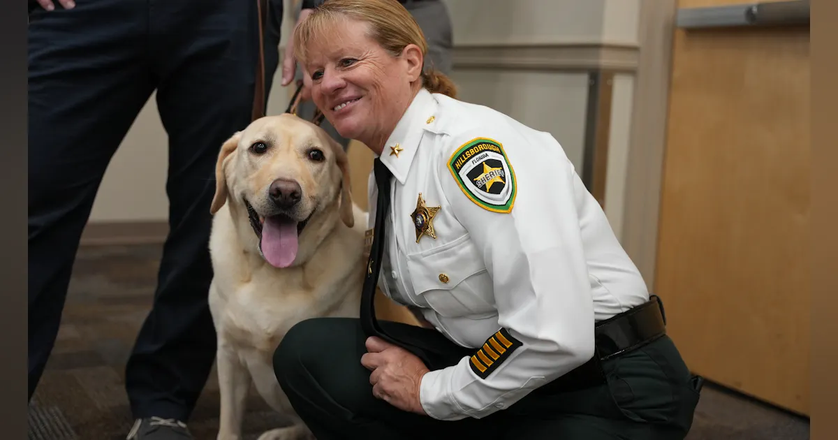 Power of the Dog: Emotional Support Dogs in Law Enforcement | Officer