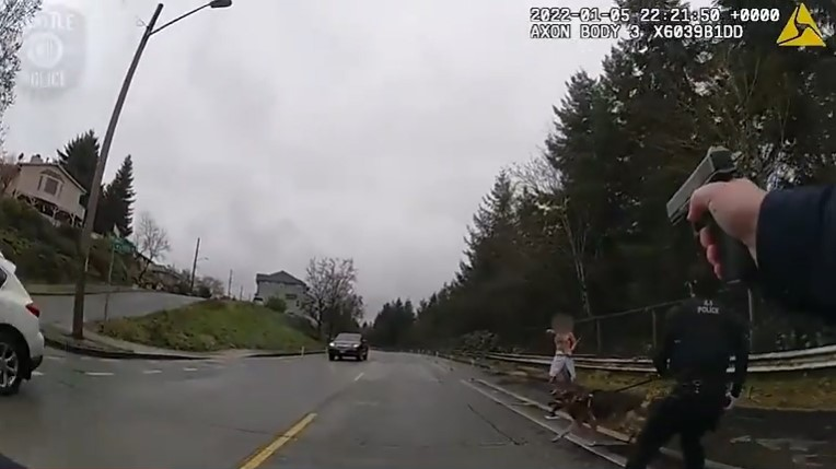 Seattle police fatally shot a burglary suspect who stabbed an officer in the face and killed a K-9 in the Beacon Hill neighborhood Jan. 5.