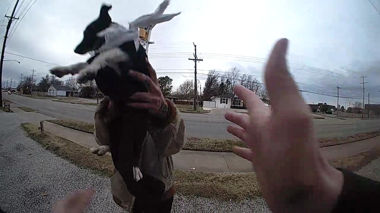 Tulsa Police Puppy Catch (ok)