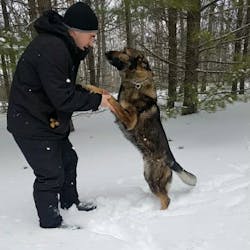 Roscommon County, MI, sheriff's K-9, Ghost, helped locate a 58-year-old man who went missing in 'thick woods' as temperatures dropped to about 11 degrees Jan. 20. Roscommon County, MI, sheriff's K-9, Ghost, helped locate a 58-year-old man who went missing in 'thick woods' as temperatures dropped to about 11 degrees Jan. 20.
