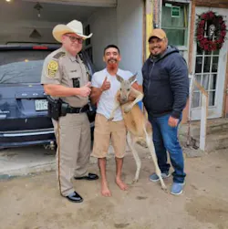 Hidalgo County, TX, sheriff's deputies helped recover a kangaroo that escaped from its Mercedes ranch Saturday. Hidalgo County, TX, sheriff's deputies helped recover a kangaroo that escaped from its Mercedes ranch Saturday.