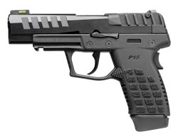 P15 P15