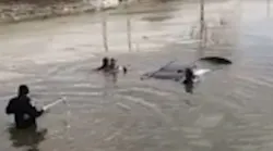 A Collinsville, IL, police officer waded into a pond's freezing waters to help rescue a woman trapped inside a submerged car Saturday.