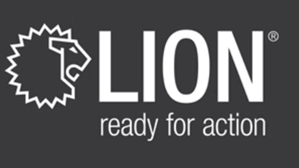 Lion 6203bff41069b