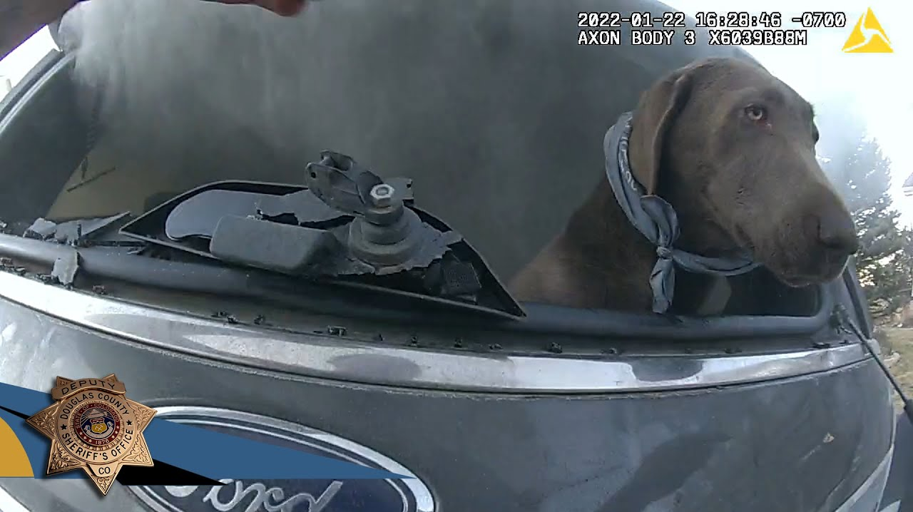Watch Colo. Deputy Rescue Dog from Burning Vehicle Officer(02)