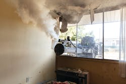 Rook21 0284 2525 Pamscott Edit Rook21 0284 2525 Pamscott Edit