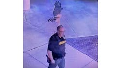 A Martin County, FL, sheriff's deputy was knocked off his feet after a hawk swooped down and struck him in the head Monday. A Martin County, FL, sheriff's deputy was knocked off his feet after a hawk swooped down and struck him in the head Monday.