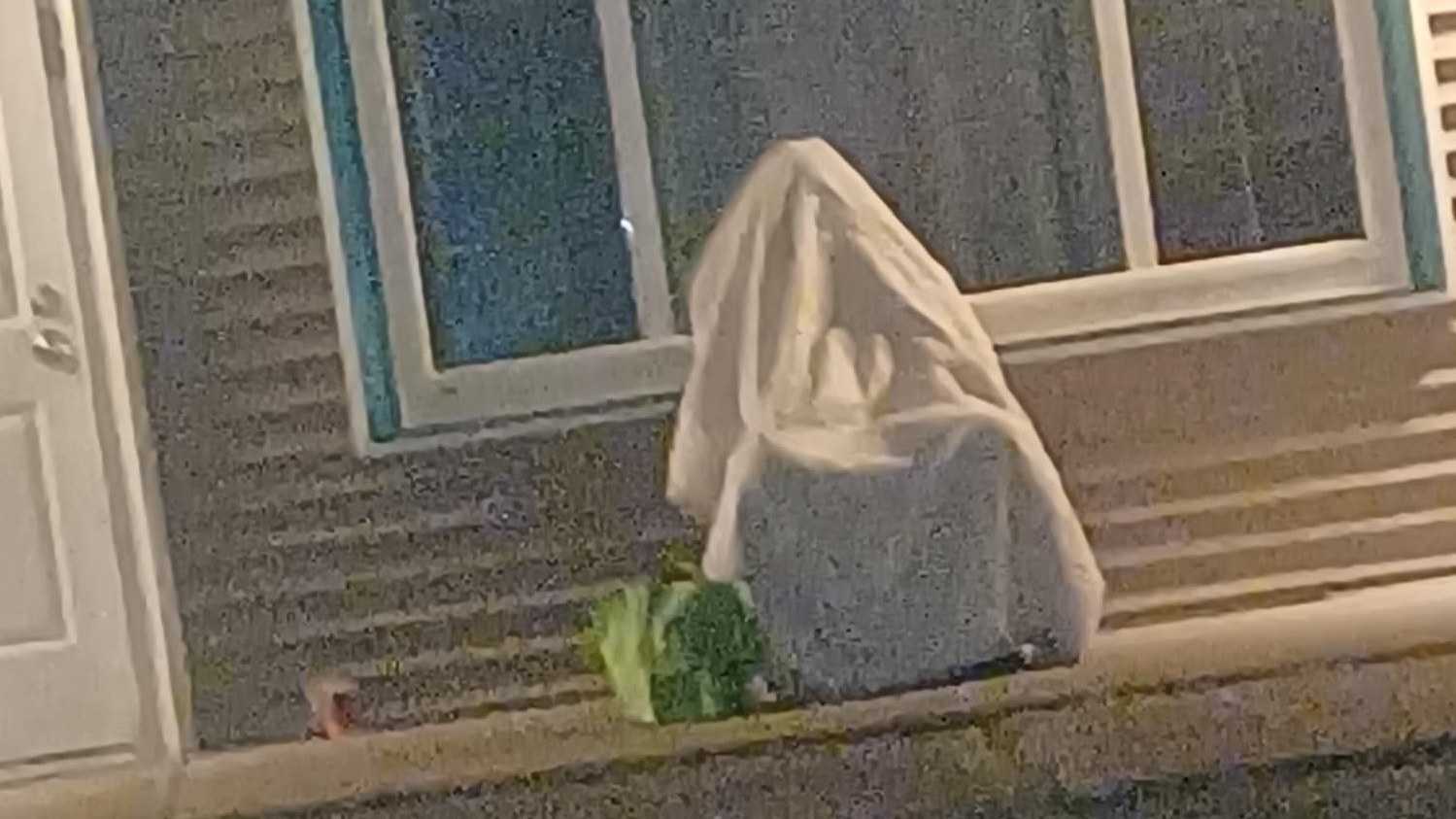 A man tried to elude Belfast, ME, police by doing his best imitation of a ghost and hiding under a blanket covering a chair in front of a hotel Sunday.