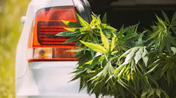 Marijuana Car Back Bumper (dt)