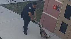 A St. Cloud, FL, police officer lassos a 6-foot alligator found outside an elementary school Monday.