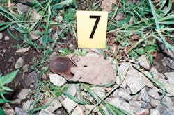 One of Holly Dunn's sandals lays in the ditch near the railroad tracks where Resendiz brutally attacked her and Chris Maier. One of Holly Dunn's sandals lays in the ditch near the railroad tracks where Resendiz brutally attacked her and Chris Maier.