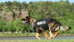 Jonseboro, Arkansas, Police K-9 Gabo runs in his vest from Vested Interest in K9s. (Nelson Chenault Photography) Jonseboro, Arkansas, Police K-9 Gabo runs in his vest from Vested Interest in K9s. (Nelson Chenault Photography)