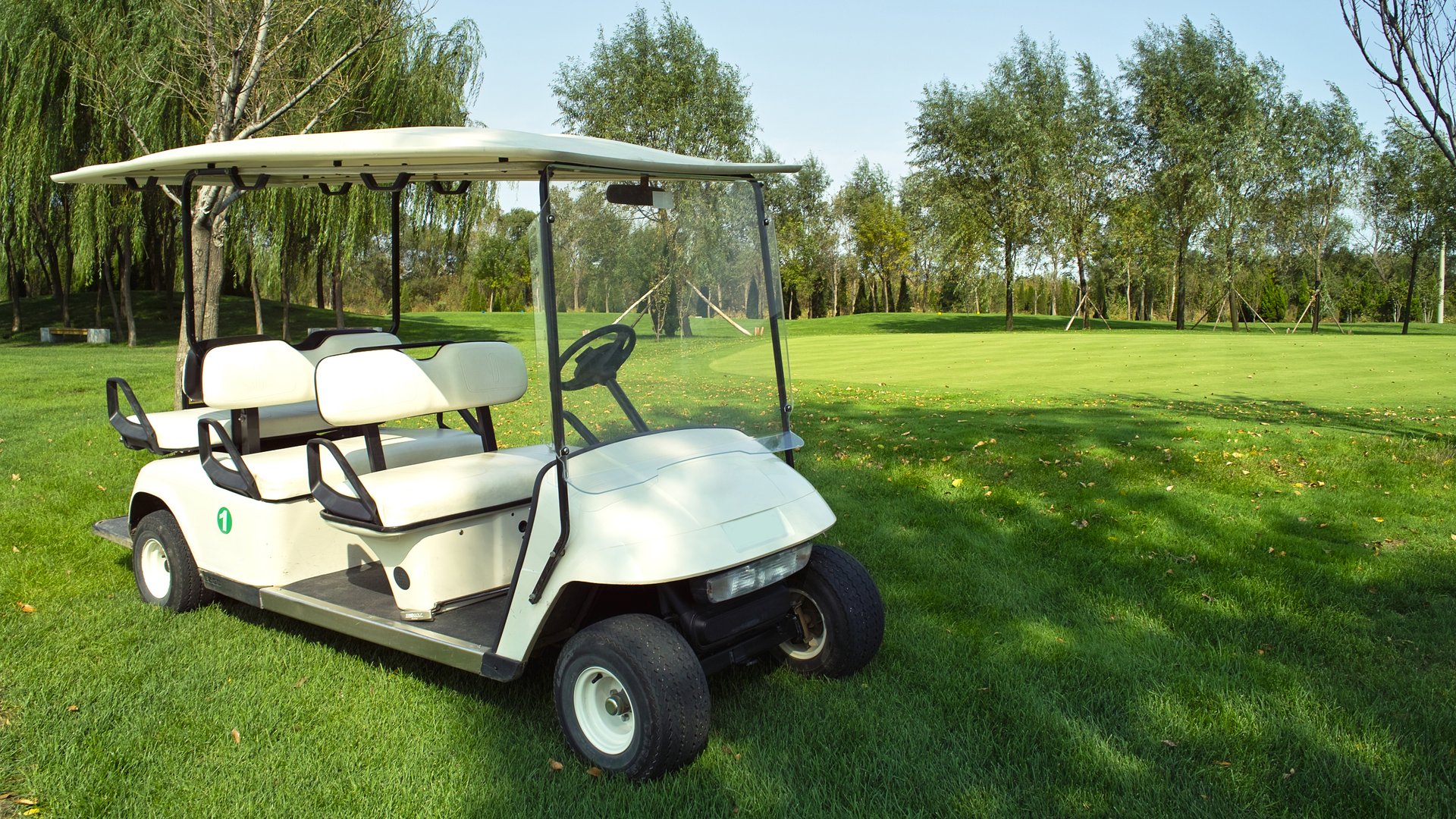 Golf Cart Dt 62bd9c9010972
