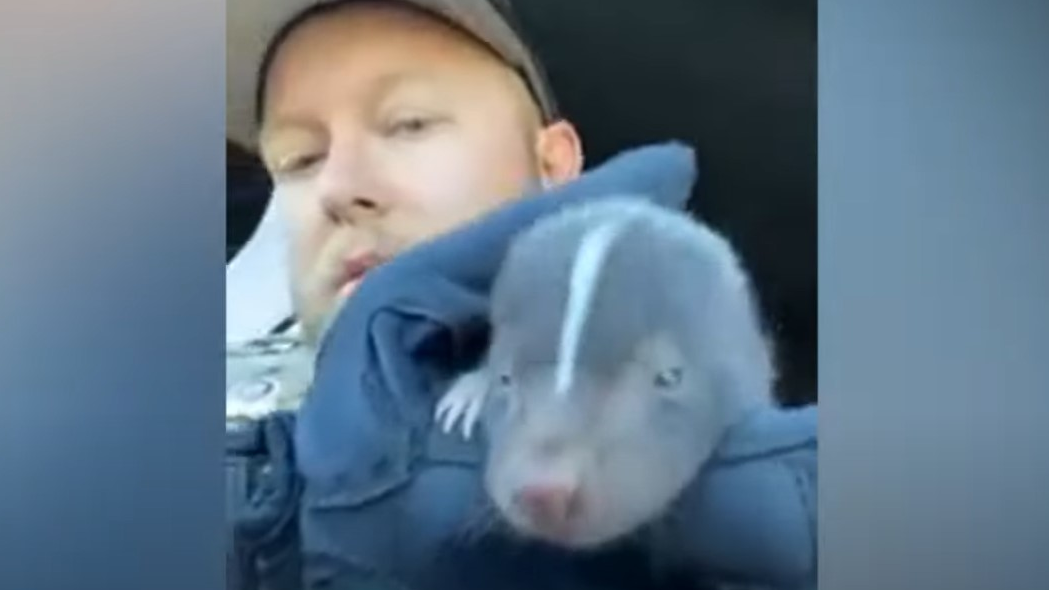 Olmsted Co Deputy Skunk Rescue (mn)