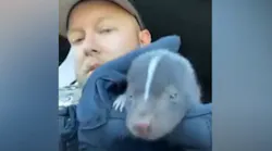 Olmsted Co Deputy Skunk Rescue (mn)