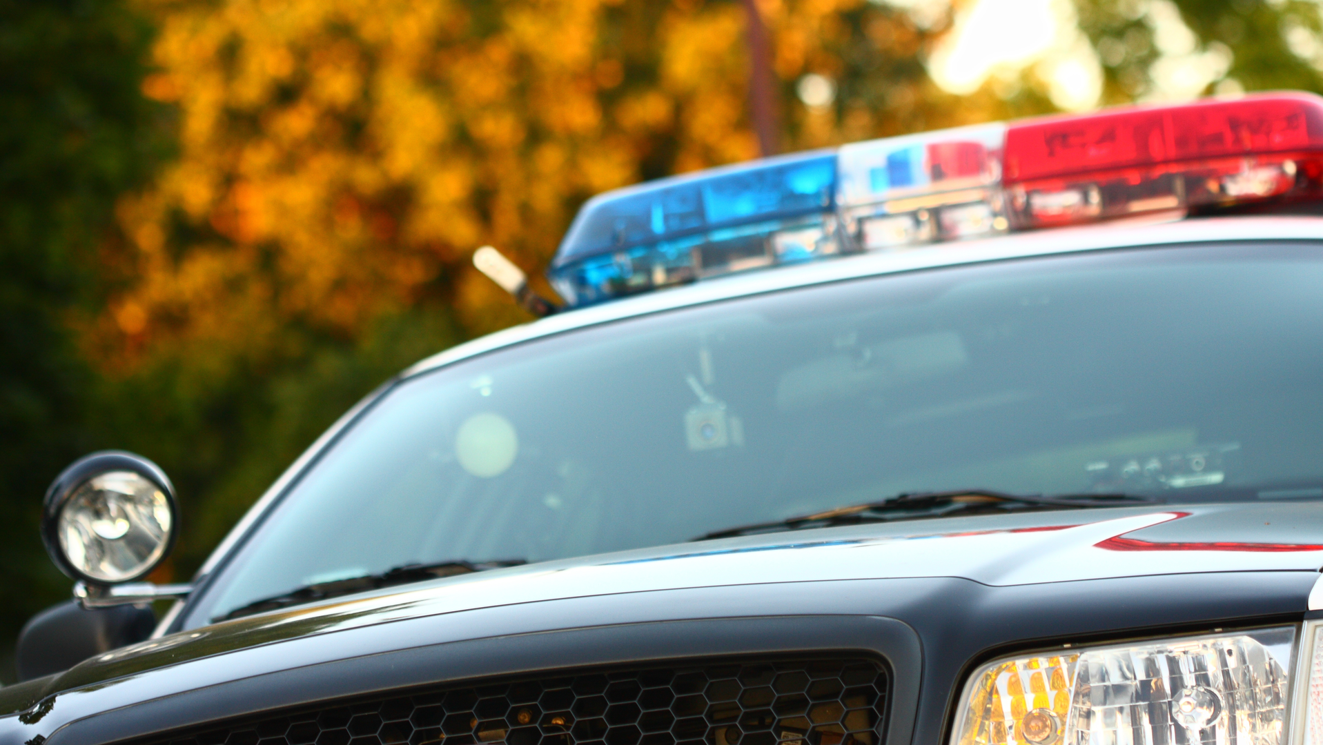 Patrol cars are often shared among officers, and with each new shift many different people may occupy the back seat, including some for whom hygiene has become a low priority.