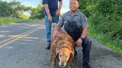 New York State Trooper Jimmy Rasaphone crawled 15 feet through a small culvert pipe in Conklin to rescue a trapped 13-year-old golden retriever over the weekend.