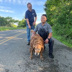 New York State Trooper Jimmy Rasaphone crawled 15 feet through a small culvert pipe in Conklin to rescue a trapped 13-year-old golden retriever over the weekend. New York State Trooper Jimmy Rasaphone crawled 15 feet through a small culvert pipe in Conklin to rescue a trapped 13-year-old golden retriever over the weekend.