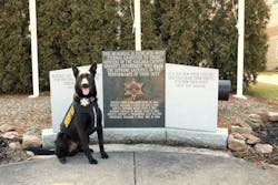 Niagara County, New York, Sheriff's K-9 Chief with his protective vest from Vested Interest in K9s. Niagara County, New York, Sheriff's K-9 Chief with his protective vest from Vested Interest in K9s.
