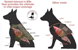 Vests &amp; Dog Anatomy