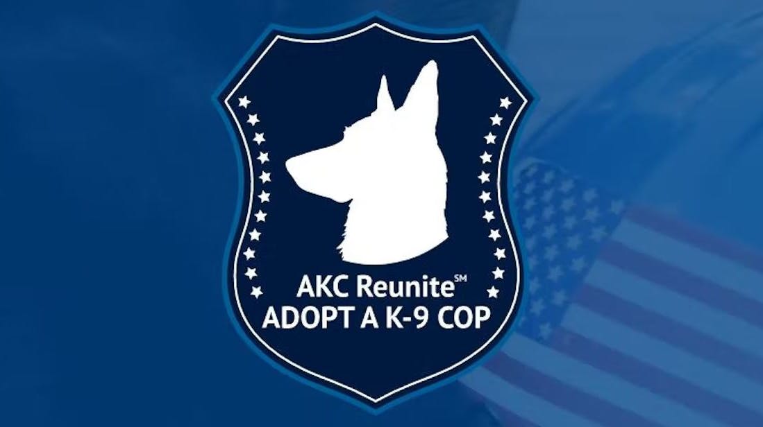 Akc 2024 reunite microchip