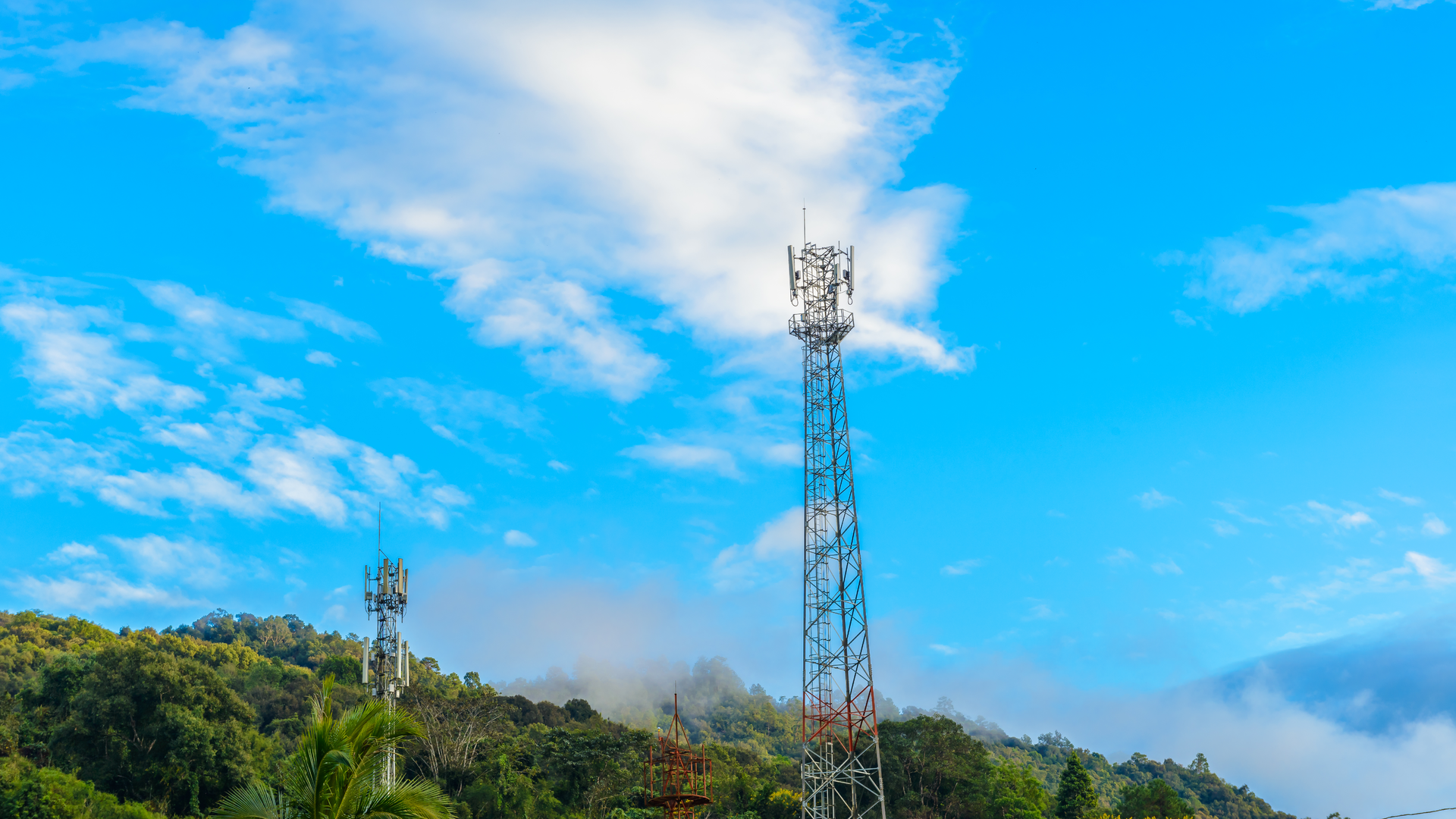 Dreamstime Xxl 138071387