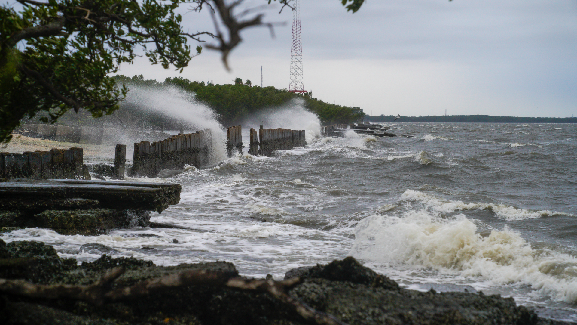 Hurricane Ian Waves (fl)