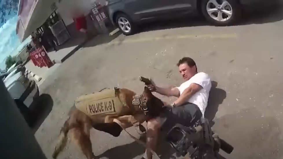 A man wanted on felony arrest warrants was fatally shot Aug. 24 when he drew and pointed a gun at Tucson, AZ, Police Department SWAT officers and a K-9.