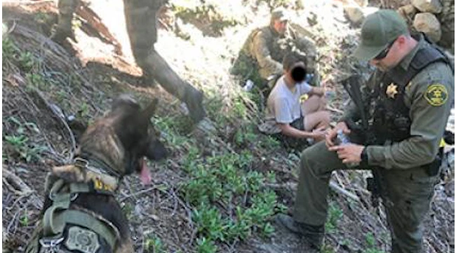 Usfs Officer https://img.officer.com/files/base/cygnus/ofcr/image/2022/09/16x9/US ...