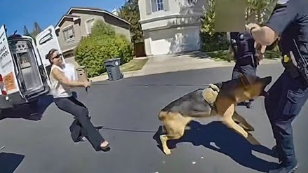 Video Dog Bites Calif. Police Officer; Owner Tries to Save Canine's