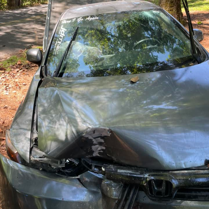A driver drove through a construction zone, school property and a golf course before crashing into a tree in Franklin, NC, on Wednesday. The chase began when the driver avoided a traffic stop with Macon County sheriff's deputies.