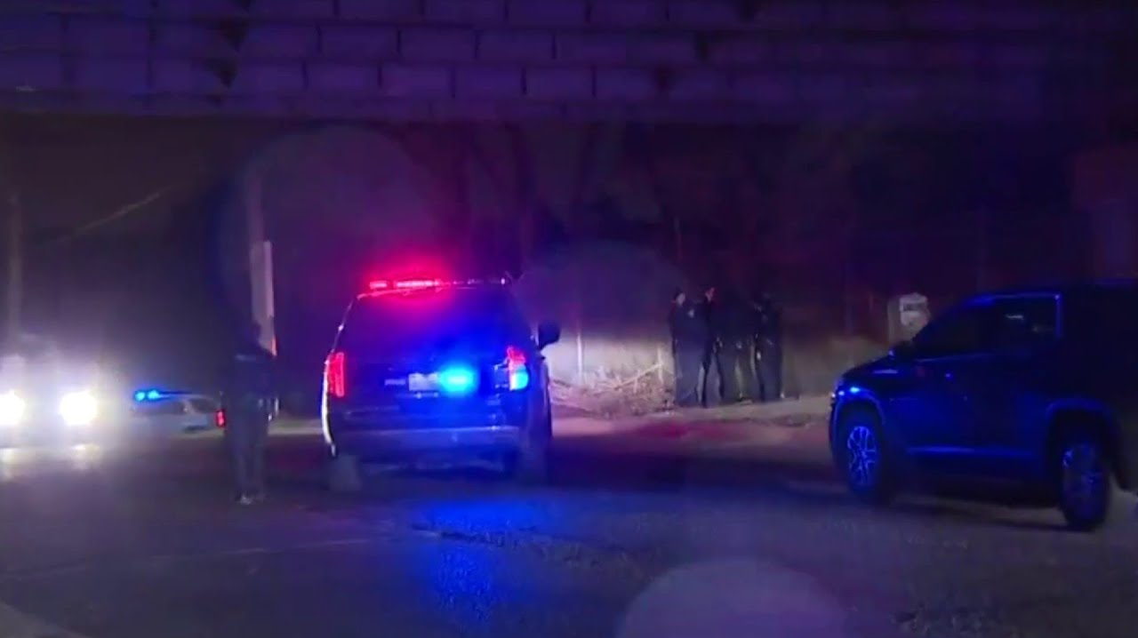 Teen Leaps from Overpass after Chase with Michigan Police | Officer
