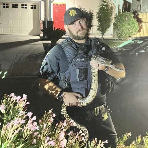 A Livermore, CA, police officer holds a 6-foot boa constrictor that escaped from a resident's home Monday.