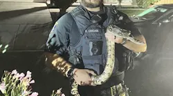 A Livermore, CA, police officer holds a 6-foot boa constrictor that escaped from a resident's home Monday.
