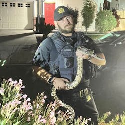 A Livermore, CA, police officer holds a 6-foot boa constrictor that escaped from a resident's home Monday. A Livermore, CA, police officer holds a 6-foot boa constrictor that escaped from a resident's home Monday.