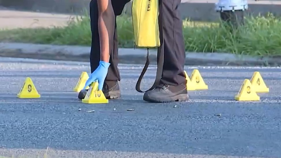 New Orleans Crime Gun Casings (la)