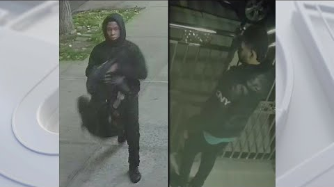 NYPD Officer, Police Vehicles Struck by Fleeing Driver | Officer