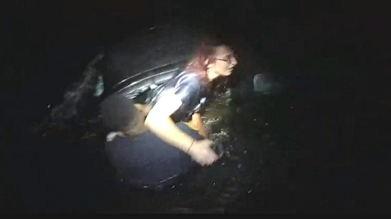 Watch Fla. Police Officer Save Woman from Fast-Sinking Car in Canal ...