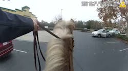 Two members of the Folsom, CA, Police Department's mounted patrol chased down three suspects accused of stealing over $10,000 in merchandise from two stores last week. Two members of the Folsom, CA, Police Department's mounted patrol chased down three suspects accused of stealing over $10,000 in merchandise from two stores last week.