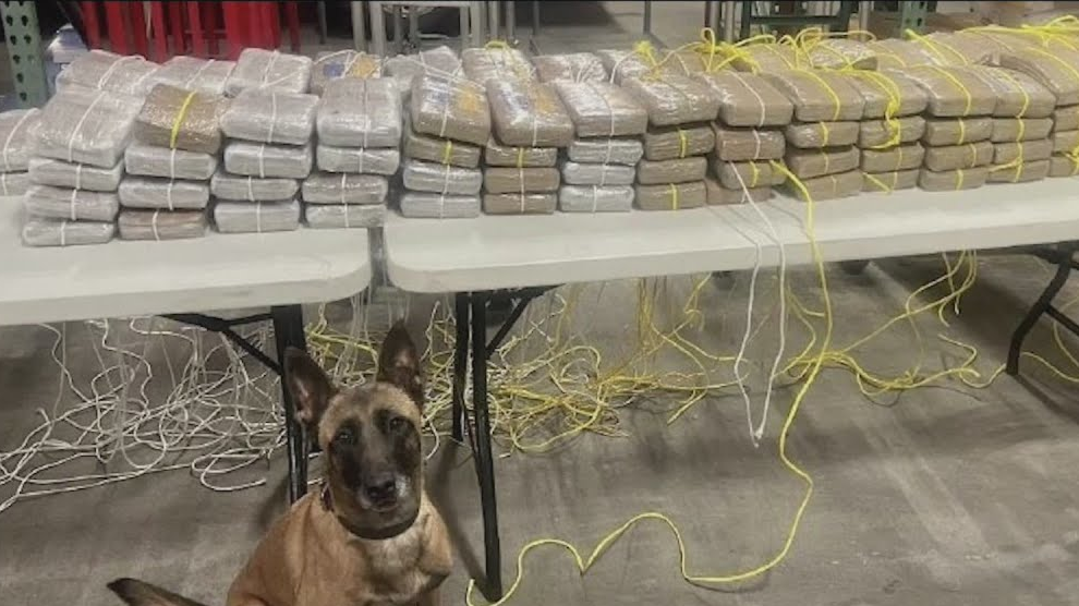 Indianapolis Police Seize Nearly 300 Pounds of Cocaine in Historic Bust Officer