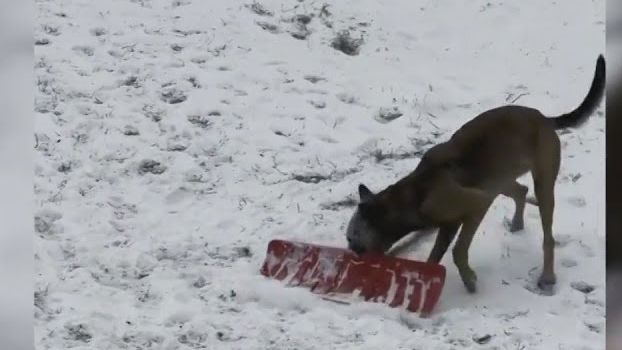 Maxresdefault 639a191e53db2